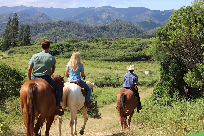 1 Hour Scenic Horseback Ride - Lowest Price Guarantee