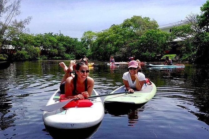 1 Hour Stand up Paddle Board Lesson for Beginners With 1 on 1 Instructor Guide - Lesson Pricing and Booking