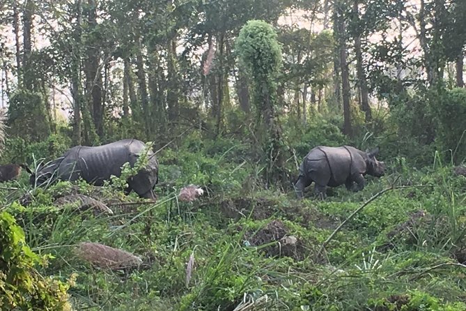 1 Night 2 Days Chitwan Jungle Safari Tour From Kathmandu - Inclusions and Exclusions