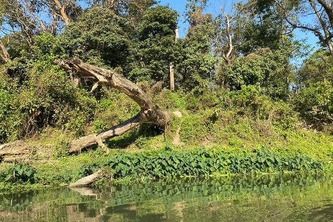 1 Night 2 Days Chitwan Safari Tour - Overview and Inclusions