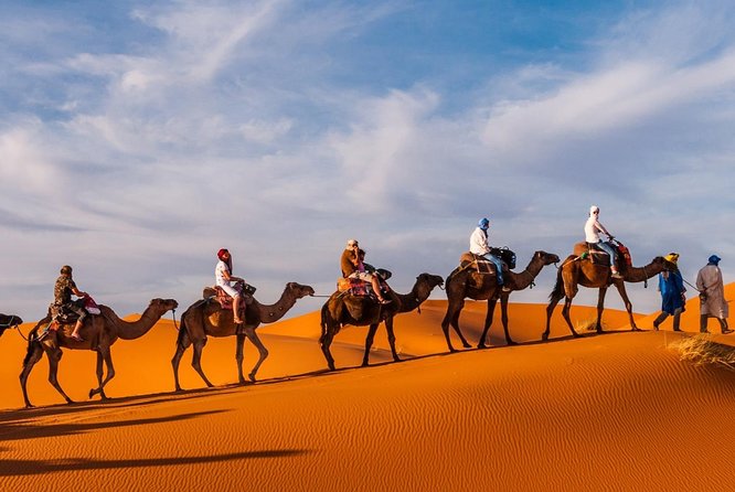 1 Night Camel Trekking in Merzouga - Pricing and Booking Details