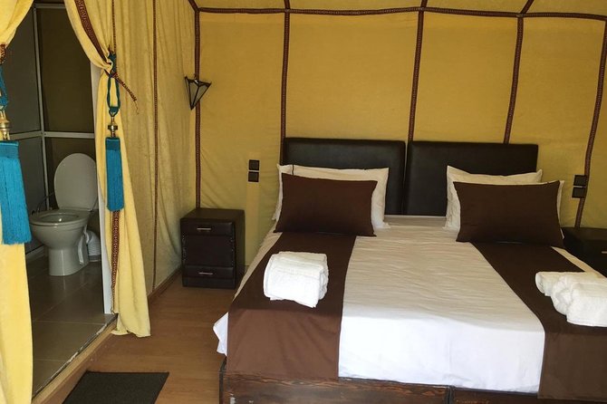 1 Night Camp Camel Ride - Overview and Logistics