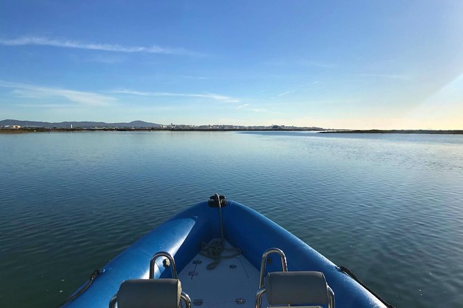 1 or 2 Hour Speed Boat Tour - Ria Formosa - Meeting and Pickup