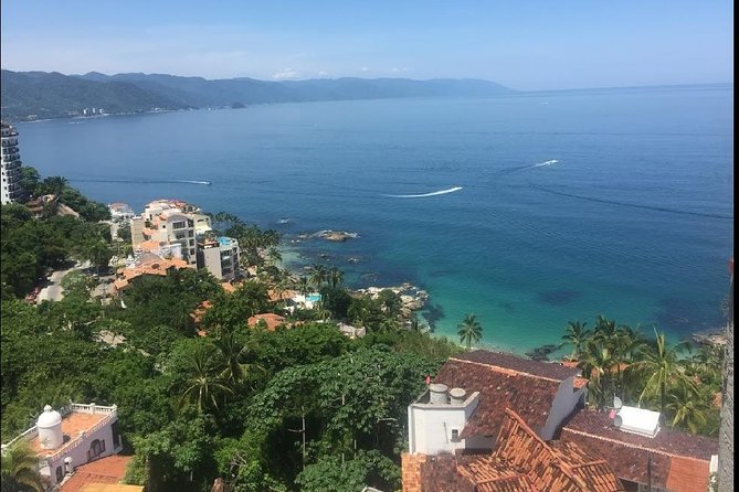 1 to 6 Passengers Vallarta Private City Tour - Positive Reviews and Recommendations