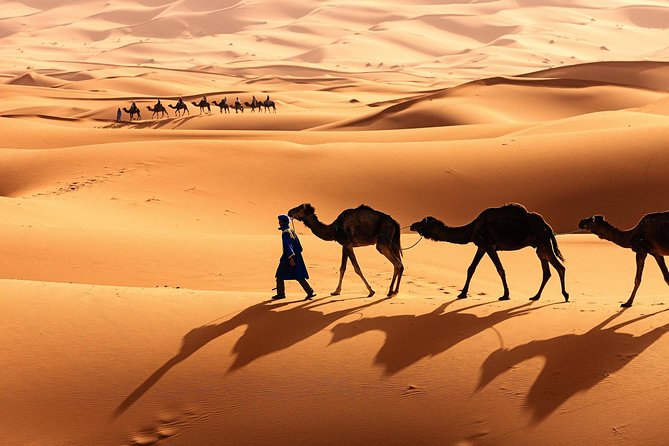 10-Day Luxury Private Vacation Package in Morocco - Accommodation and Amenities