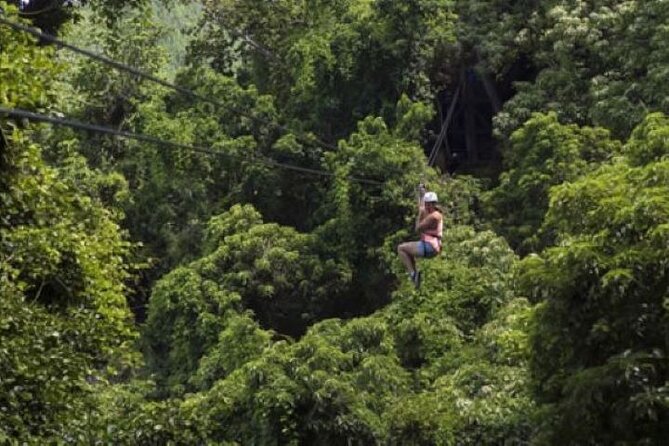100%Cfc Approved Half-Day Fiji Zip-Line Adventure& Cave in Nadi - Pricing and Booking