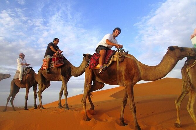 12 Days Private Luxury Sightseeing Tour in Morocco - Day 1: Airport Pick-up and Welcome