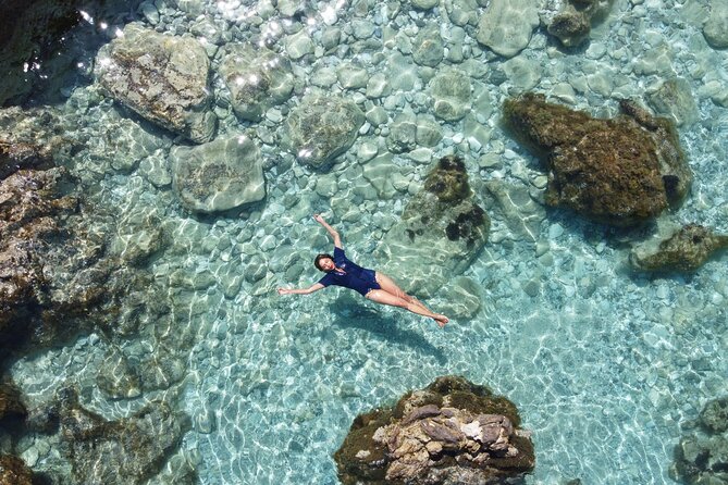 15 Day Ionian Odyssey Guided Sailing Tour in Greece - Accommodation and Meals on the Tour