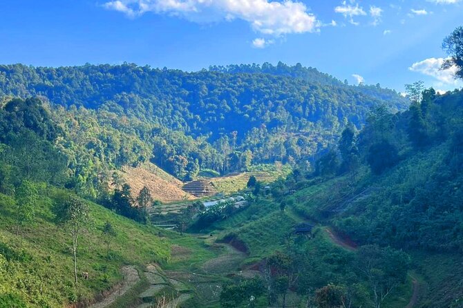 2 Day Adventure of Elephants Sanctuary Jungle Trek & Bamboo Raft - Day 1: Elephant Sanctuary Experience