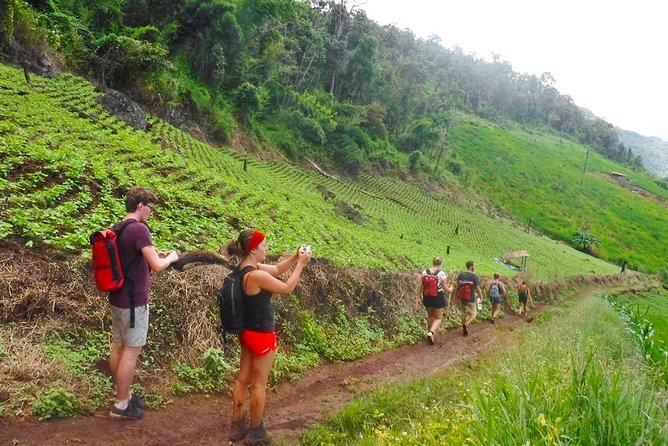 2-Day Chiang Mai - Trekking in Mae Kampong Village - Overview of Mae Kampong Village Trek