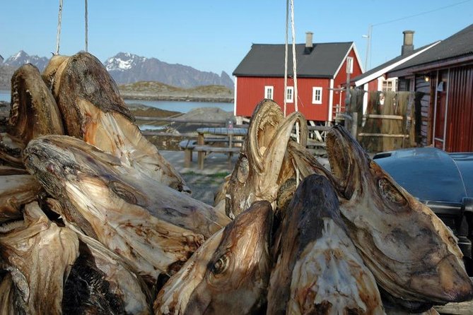 2 - Day Summer Sightseeing & Photography Tour in Lofoten - Best Photography Locations