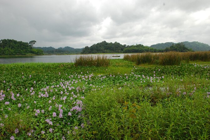 2-Day Trekking Nam Cat Tien National Park - Meeting and Pickup