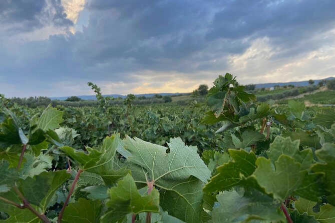 2-Day Wine Tasting Tour Along the Thracian Wine Route - Itinerary