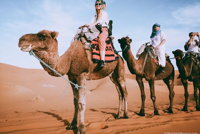 2 Days Luxury Desert Trip [Fes to Fes or Marakech] - Highlights of the Luxury Desert Trip
