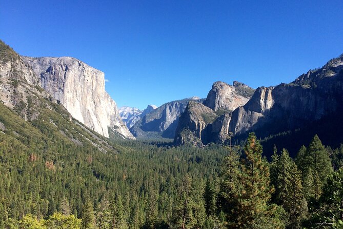 2 Days Private Tour and Hike in Yosemite National Park - Inclusions and Logistics