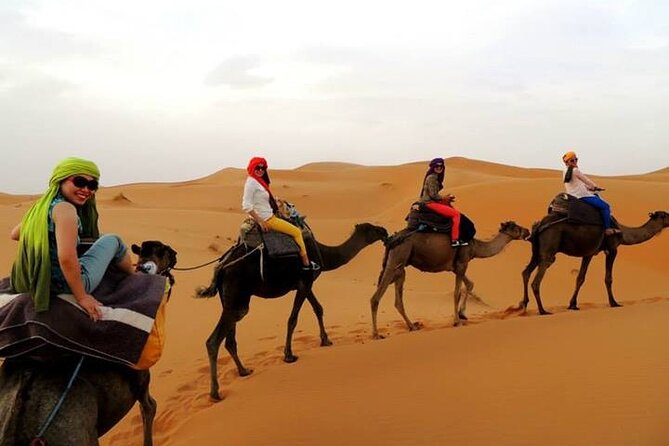2 Days Sahara Group Tour Fez to Marrakech via Merzouga - Tour Overview