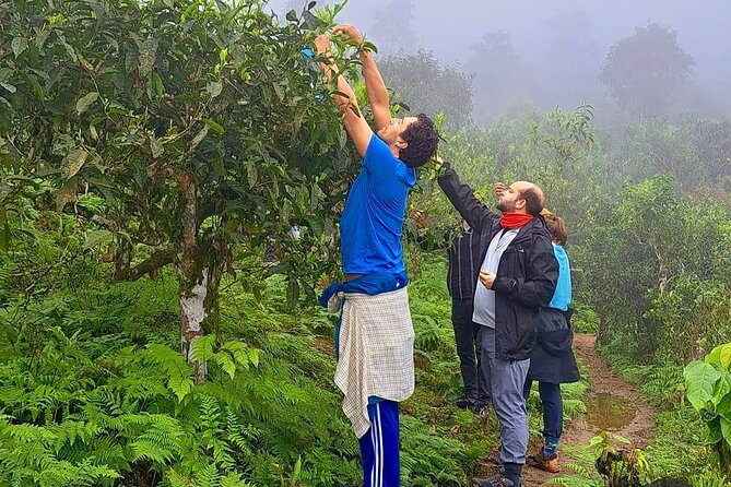 2 Days Trekking Tour in Ha Giang With Local Experts - Benefits of Local Expert Guides