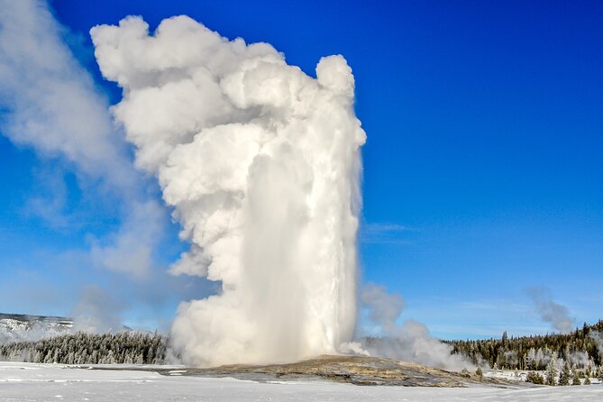 2 Days Yellowstone Private Touring With Alfresco Lunch  - Jackson - Meeting and Pickup