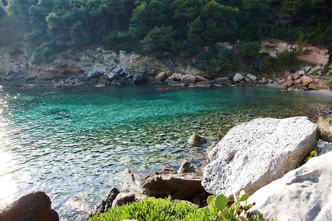 2 Dives Package - Pricing and Booking