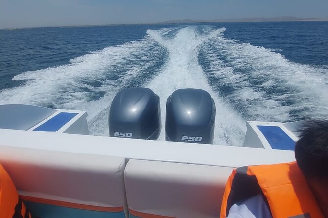 2-Hour Ballestas Islands Tour by Modern Boat - Contact Information