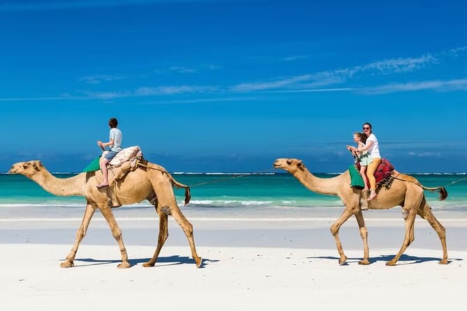 2-Hour Camel Ride Experience in Djerba Lagoon - Overview and Inclusions