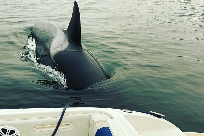 2 Hour Chartered Boat Tour From Deep Cove North Vancouver - Cancellation Policy and Pricing