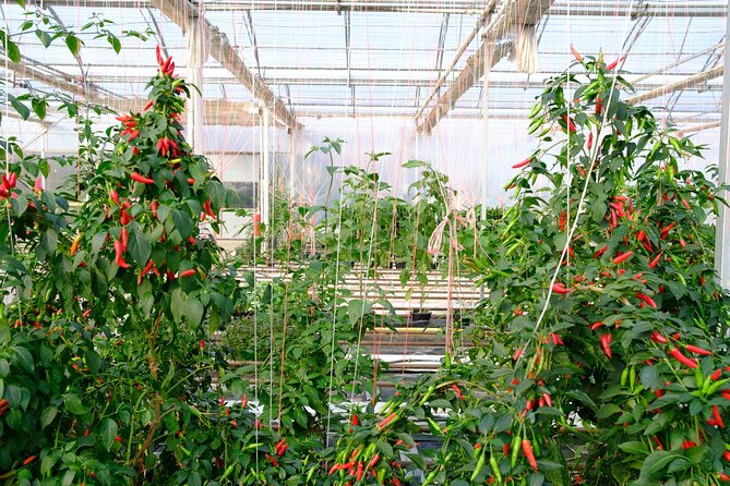 2-Hour Farm Experience in Gateway Yarra Valley - Cancellation Policy