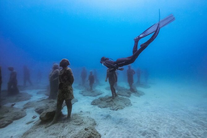 2-Hour Freediving Activity at the Atlantic Museum - Overview and Logistics
