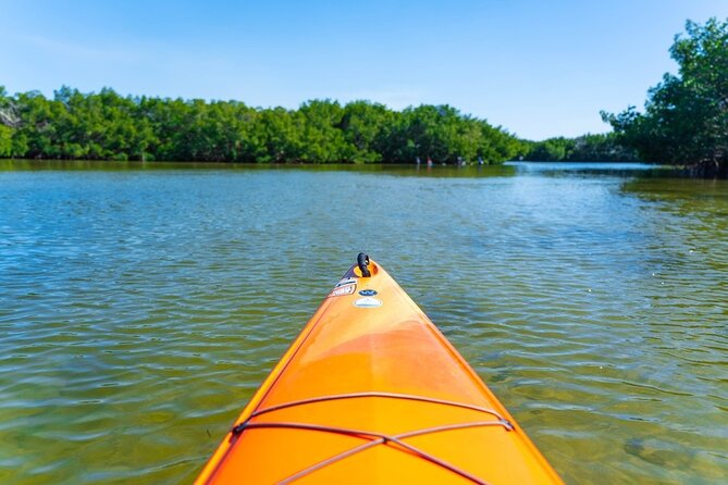 2 Hour Guided Kayak Tour in Boca Ciega Bay - St. Pete - Meeting and Pickup