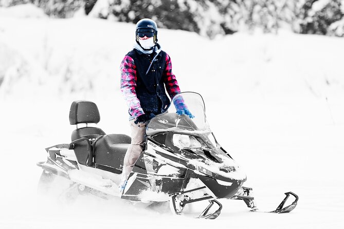 2-Hour Guided Snowmobile Tour in Fairbanks - Tour Details