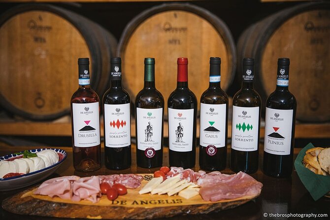 2-Hour Guided Tasting of 5 Wines in Sorrento - Accessibility and Transportation Details