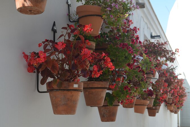 2-Hour Historical Walking Tour of Estepona - Tour Itinerary