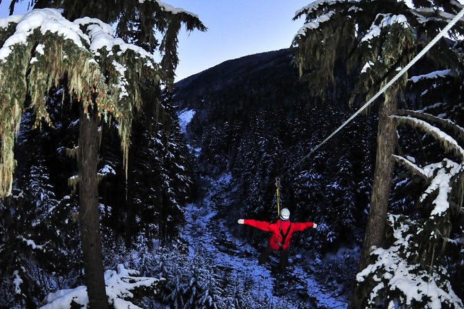 2 Hour Late Afternoon Winter Zipline Adventure - Overview and Inclusions