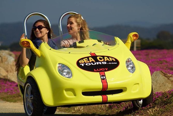 2-Hour Monterey and Pacific Grove Sea Car Tour - Tour Details