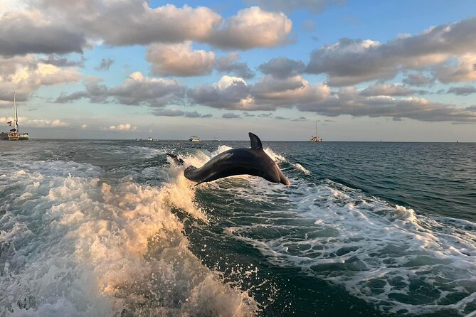 2 Hour Private Dolphin Sightseeing Tour in Panama City Beach - Overview and Experience