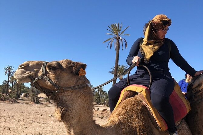 2-Hour Quad Bike & Camel Ride in Marrakech Palmeraie - Customer Feedback and Satisfaction