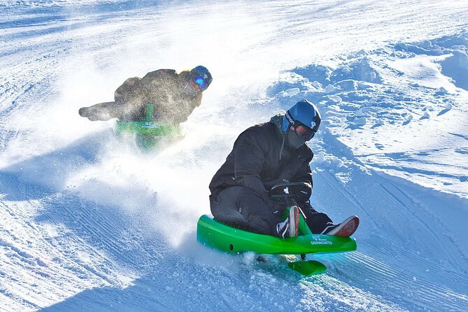 2-Hour Racing Toboggan at Dagali Fjellpark Near Geilo in Norway - Overview of the 2-Hour Racing Toboggan Experience