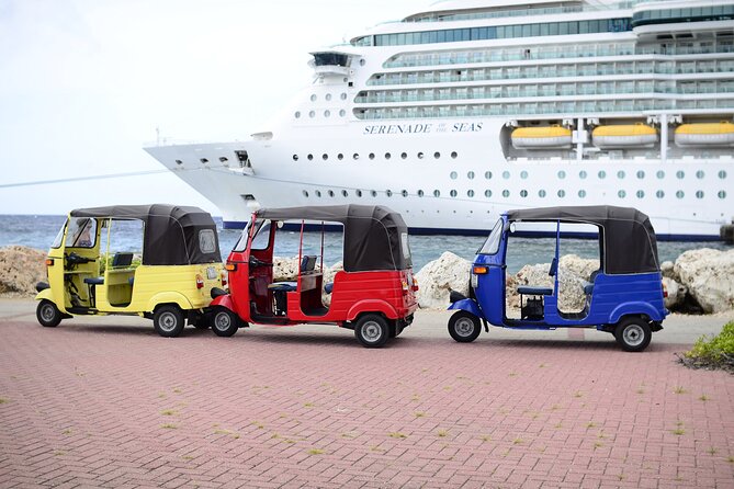2-Hour Tuktuk Rental With an Experienced Guide and Driver - Rental Details and Pricing