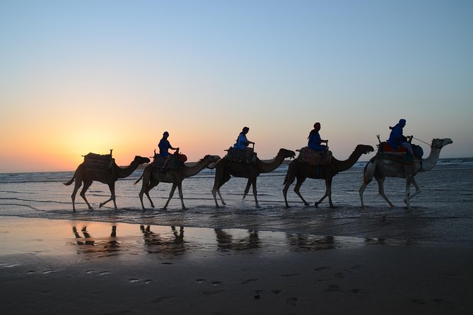 2-Hour Walks to Discover Essaouira - Activity Details