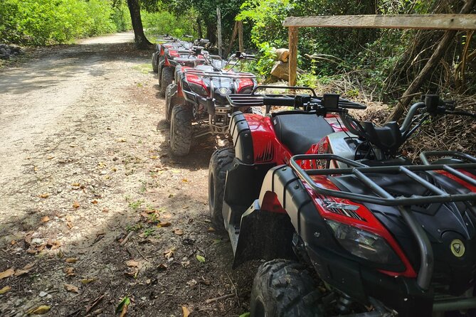 2 Hours ATV Jungle, Caverns and Mayan Ruins Tour - Tour Highlights
