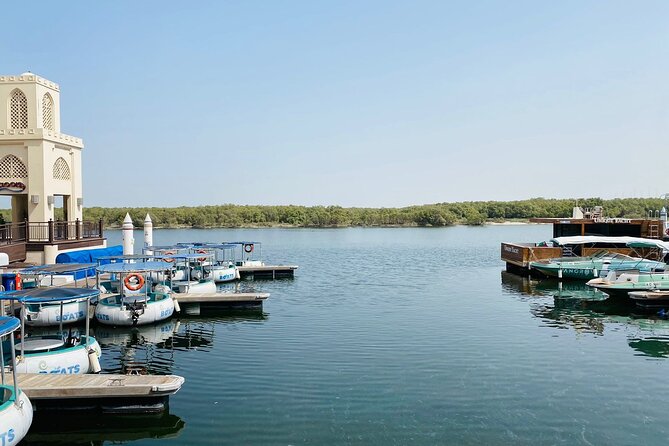 2 Hours Guided Mangrove Kayaking in Abu Dhabi - Tour Highlights