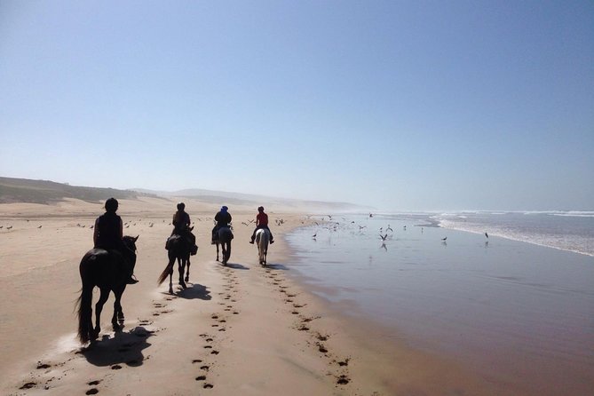 2 Hours Horse Ride Beach and Dunes in Essaouira Morocco - Price and Booking Details