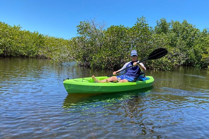 2 Hours Kayak Eco Tour in Tarpon Springs - Tour Overview and Details