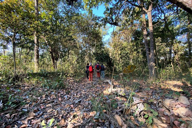 2 Hours Nature Walk in Chitwan National Park - Park Highlights