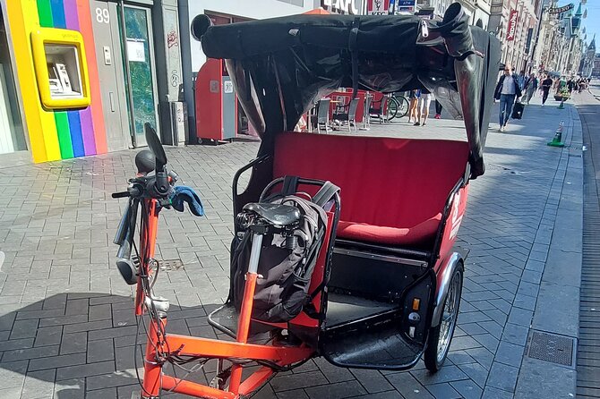2 Hours Private Amsterdam Rickshaw Tour - Tour Overview