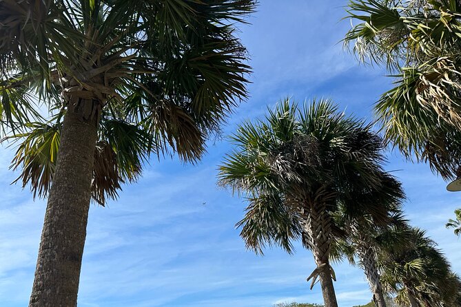 2-hr. Kissimmee Lakefront Tour on a DELUXE Fully Electric Trike - Tour Overview and Inclusions