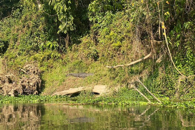 2 Nights 3 Days Chitwan Wildlife Jungle Safari Package Tour - Activities and Experiences
