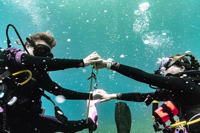2 or 3 Tank Private SCUBA Diving Charter From Waikiki Hawaii - What To Expect on the Charter