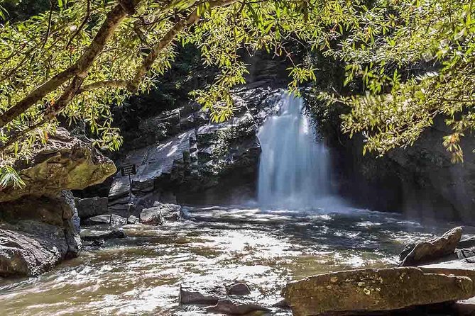 2D1N Mae Wang National Park Jungle Trekking Adventure From Chiang Mai - Overview of the Mae Wang National Park Adventure