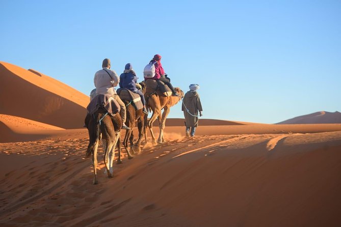 3-Day Desert Tour to Marrakech via Merouga-Erg Chebbi From Fez - Pricing and Guarantee